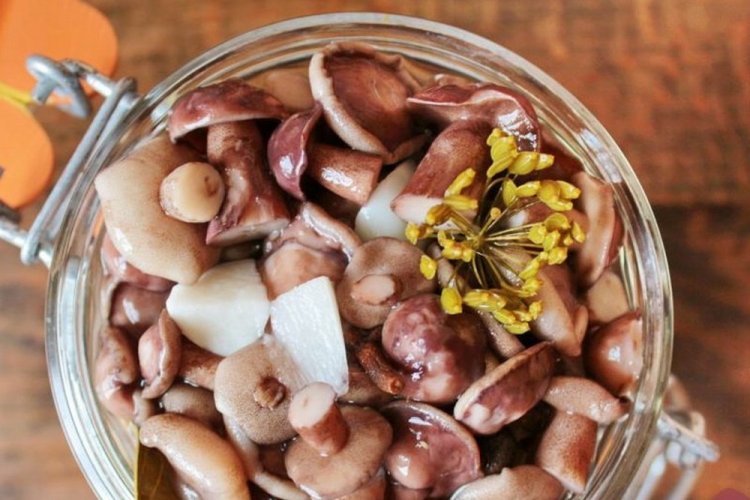 Маринованные маслята с чесноком