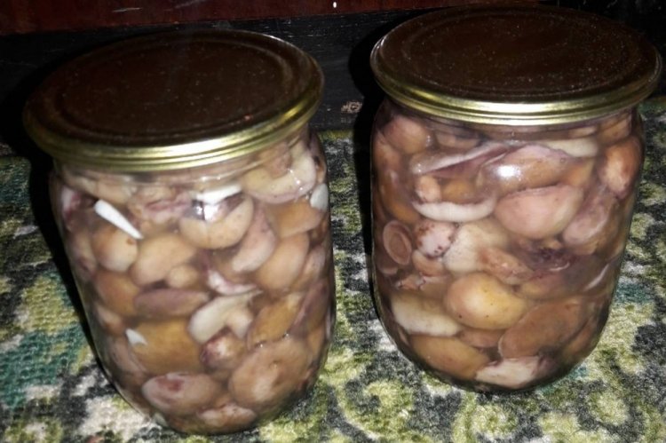 Маринованные маслята с растительным маслом
