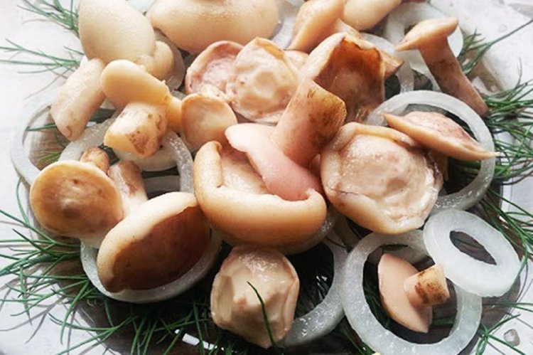 Маринованные маслята с луком
