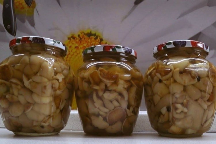 Маринованные маслята на зиму со стерилизацией