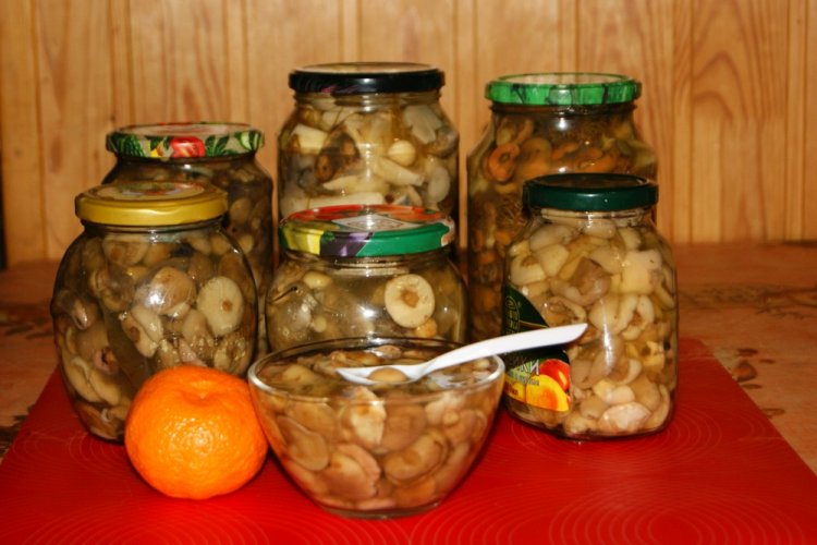 Маринованные маслята с лимонной кислотой
