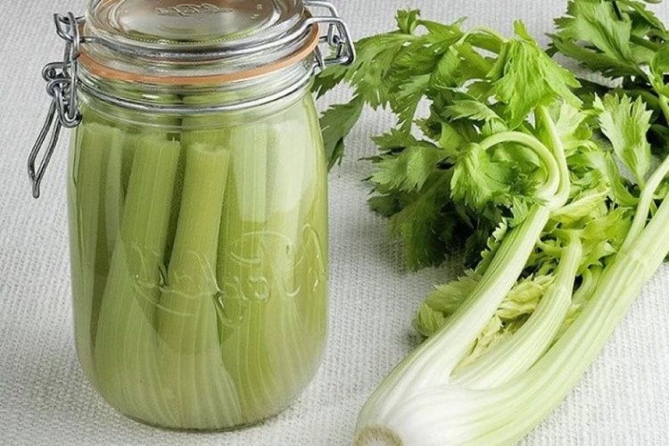 Консервированный сельдерей на зиму