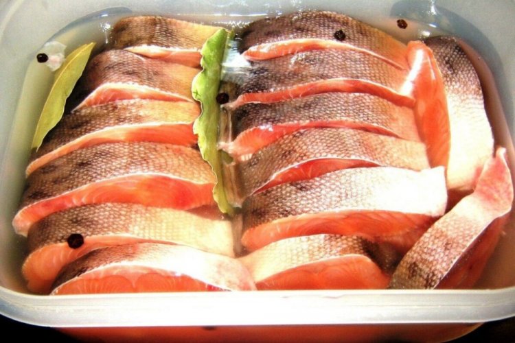 Соленая красная рыба для хранения в холодильнике