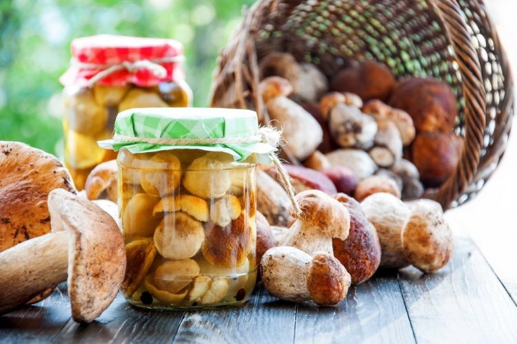 Маринованные белые грибы на зиму