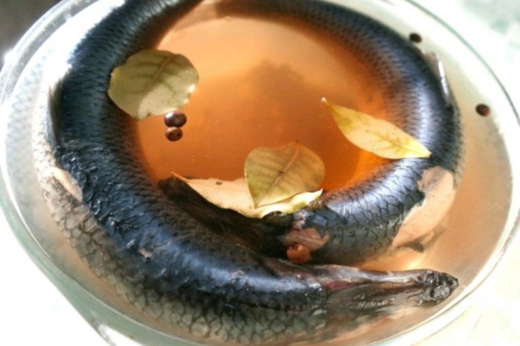 Соленая селедка в рассоле – классический рецепт