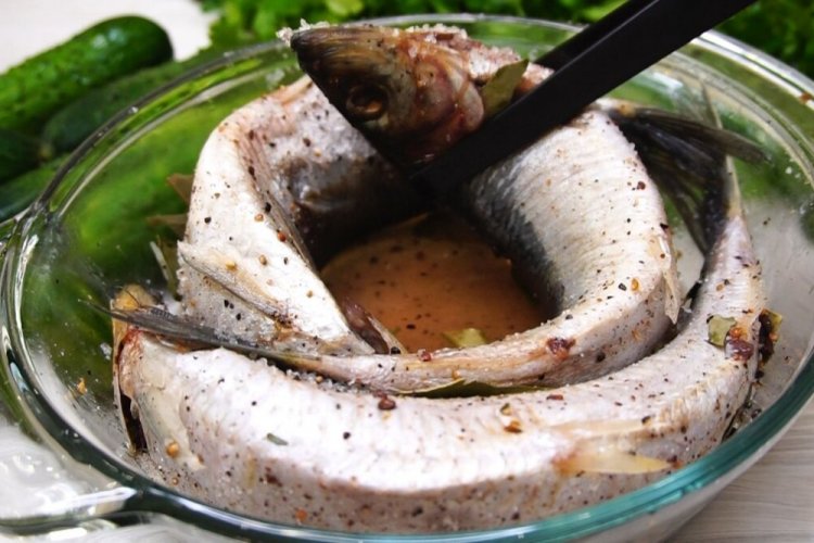 Селедка сухого посола