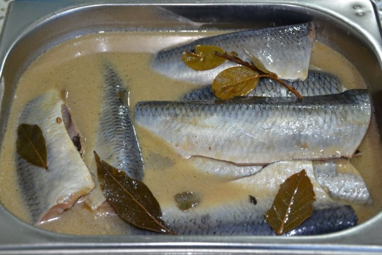 Соленая сельдь с сухой горчицей