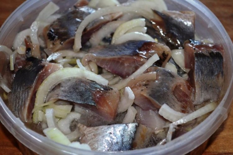 Соленая сельдь в растительном масле