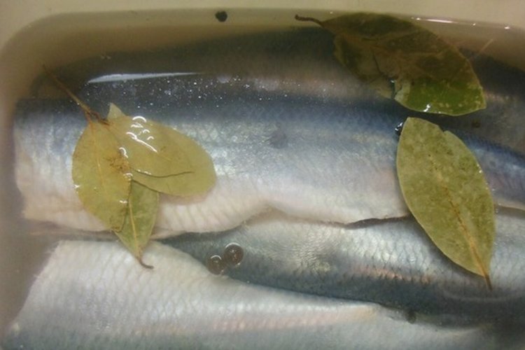 Соленая селедка в уксусе