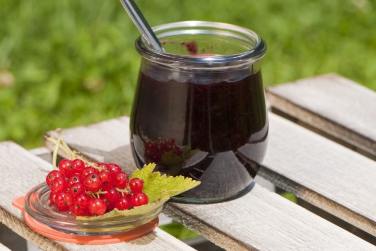 Желе из красной смородины и других ягод с желатином