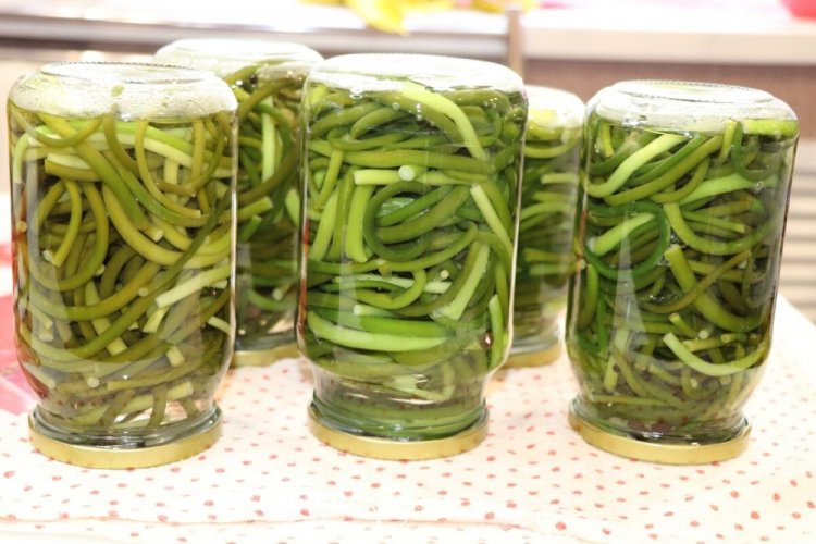 Маринованные стрелки чеснока на зиму