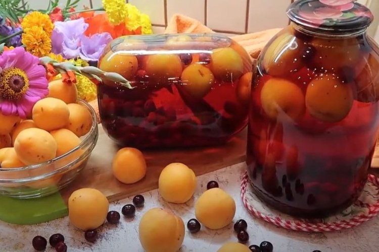 Компот из абрикосов и брусники