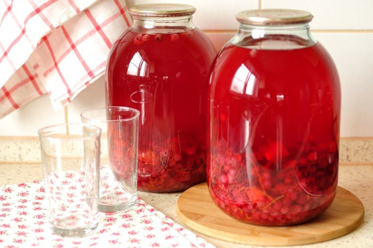 20 шикарных рецептов компота из красной смородины