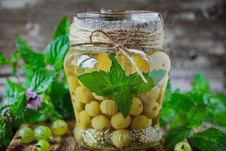 Компот из зеленого крыжовника без сахара