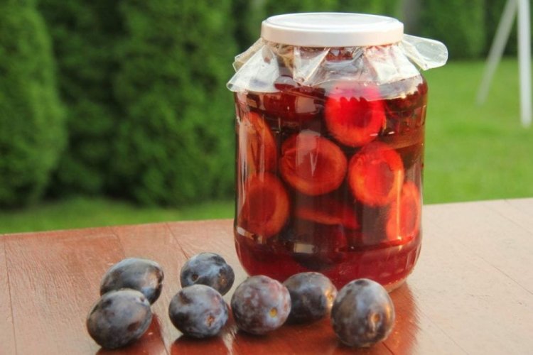 Компот из сливы – классический рецепт