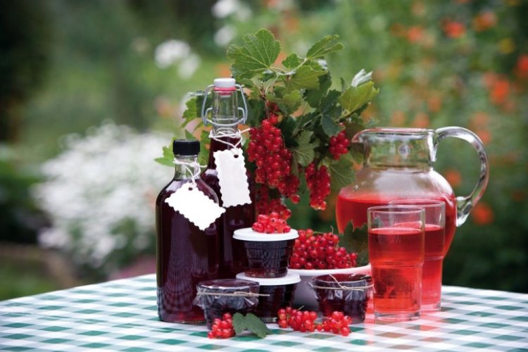 Сладкое вино из красной смородины