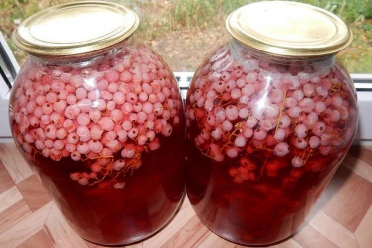 Компот из белой и красной смородины