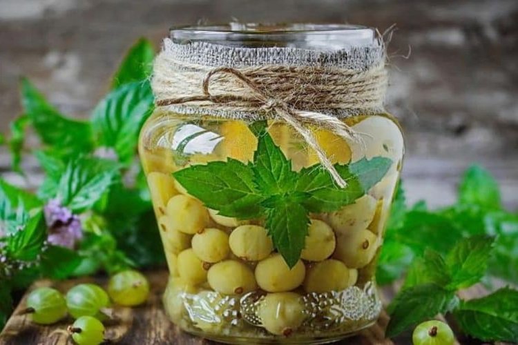 Компот «Мохито» из зеленого крыжовника