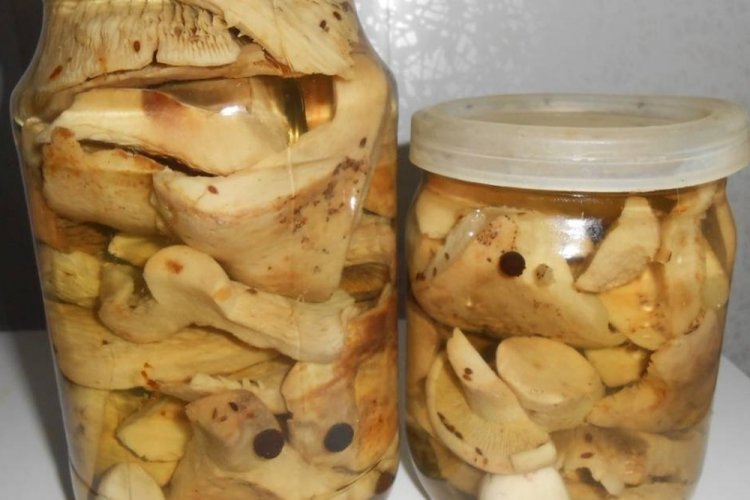 Маринованные грузди с хреном на зиму