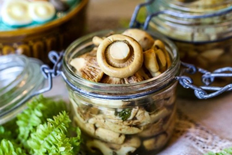 Маринованные грузди с растительным маслом