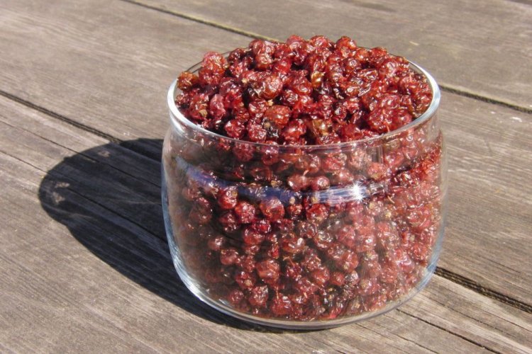 Сушеный крыжовник на зиму