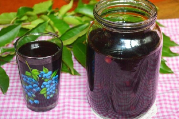 Компот из черемухи в банках