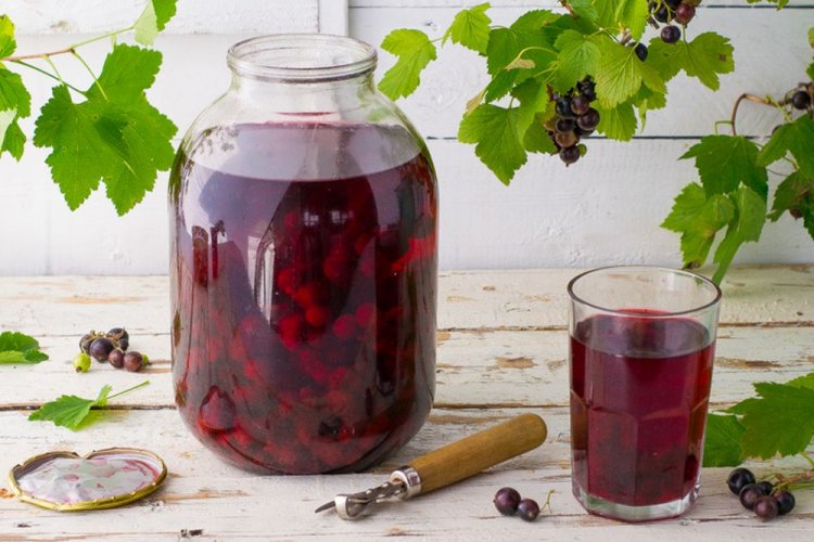 Компот из черной смородины на зиму