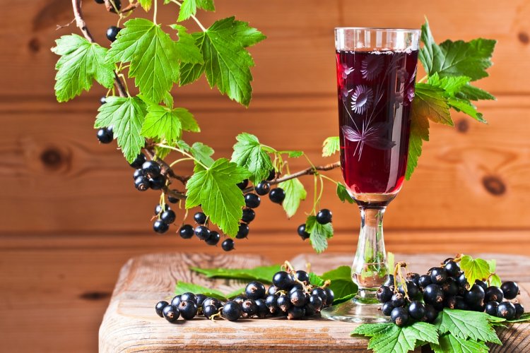 20 отличных рецептов настойки из черной смородины