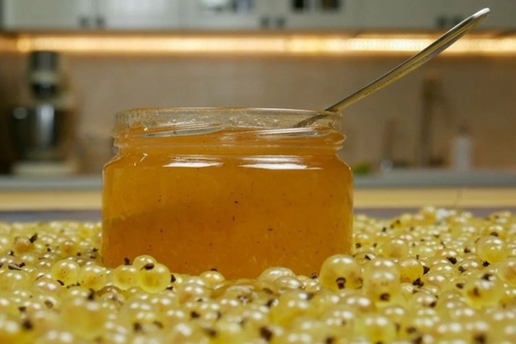 Желе из белой смородины – классический рецепт