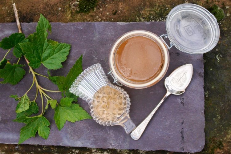 Желе из белой смородины с анисом и корицей