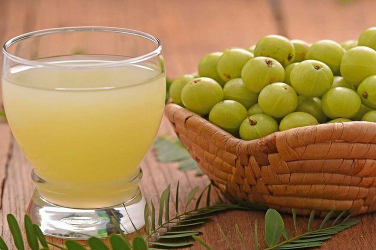 Вино из крыжовника с медом