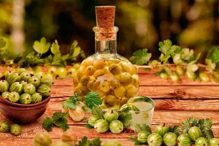 Вино из крыжовника с анисом