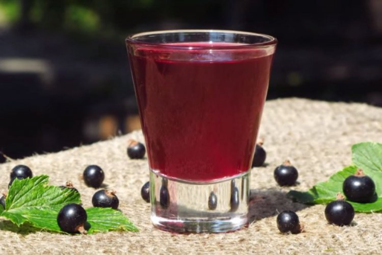 Вино из черной смородины на винных дрожжах