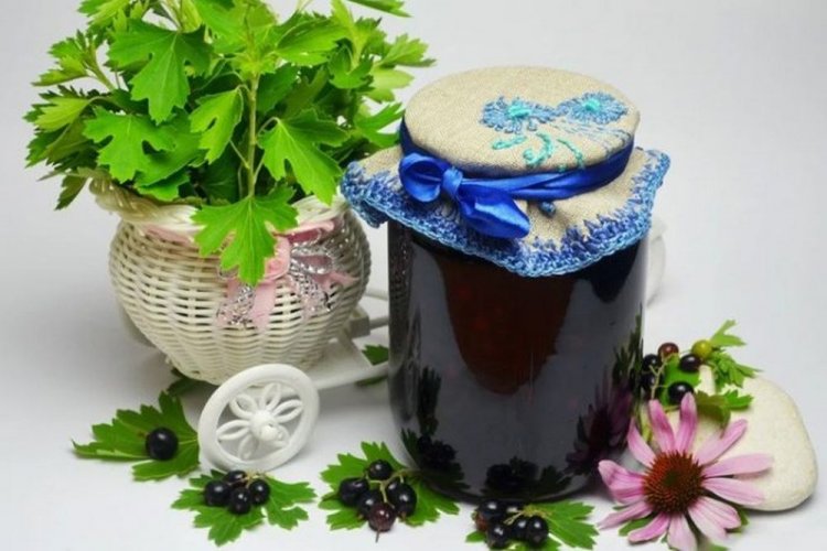 Черная смородина с мятой и сахаром на зиму