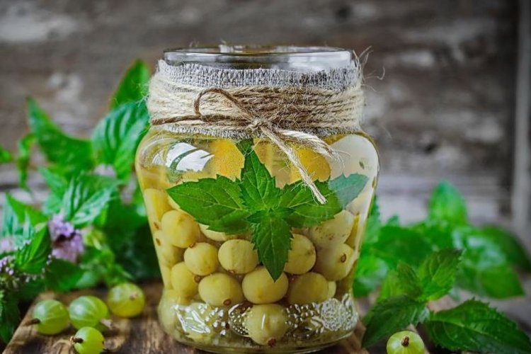 Компот из крыжовника с мятой и сахаром