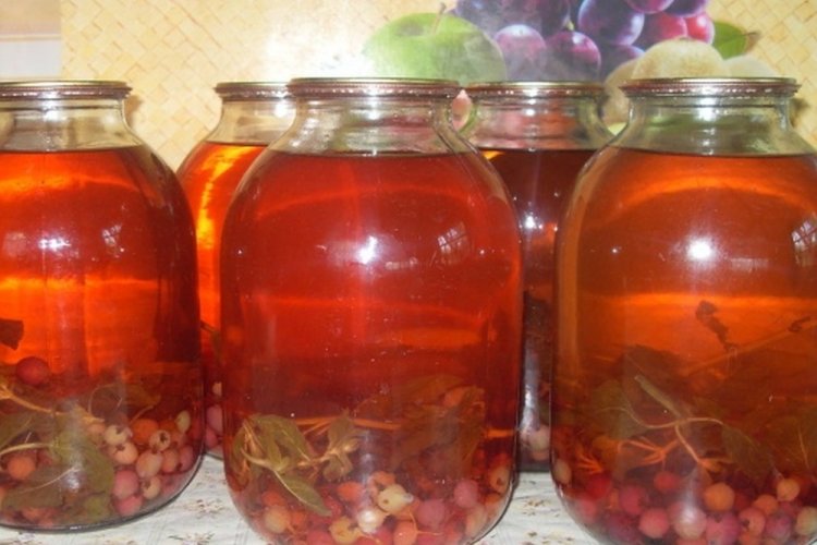 Компот из йошты и крыжовника с мятой