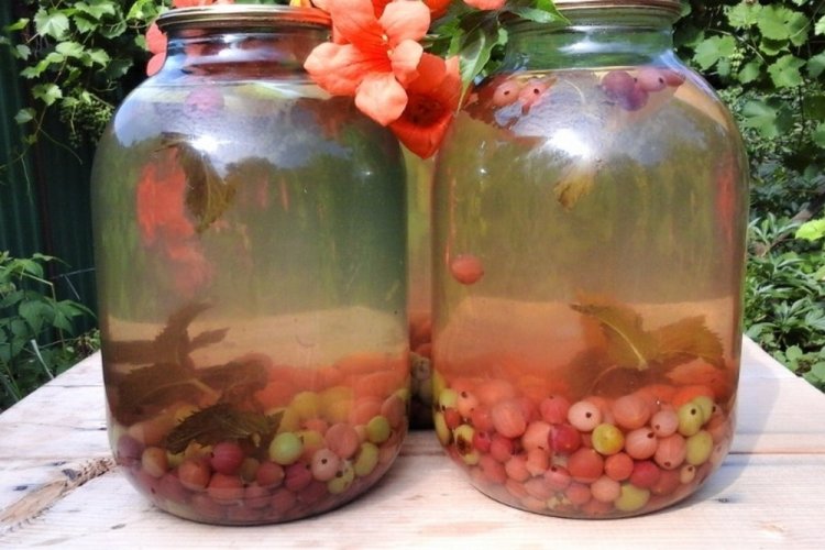 Компот из яблок и крыжовника с мятой в 3-литровых банках