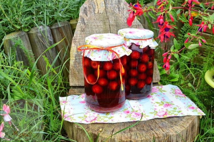 Компот из алычи с вишневым соком