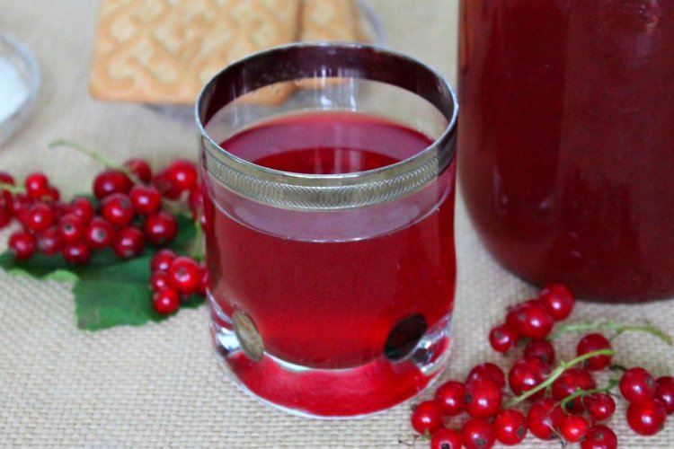 Морс из красной смородины с медом