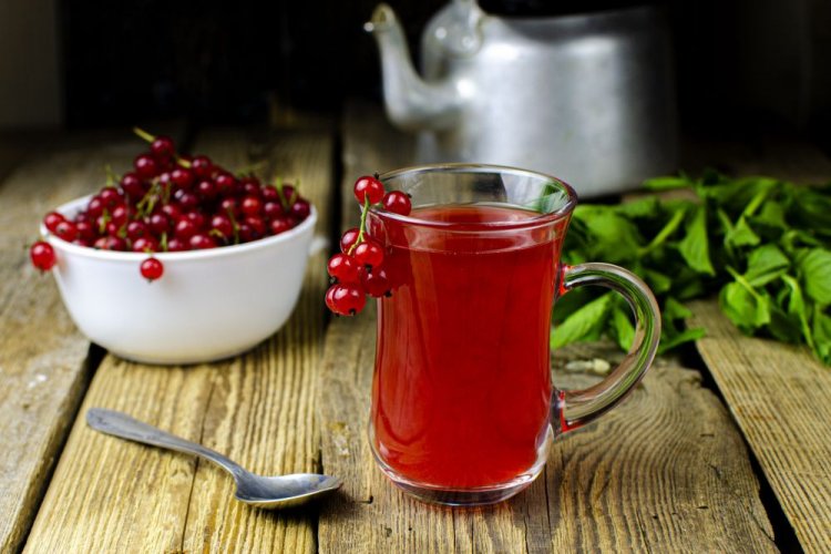 Морс из красной смородины без сахара