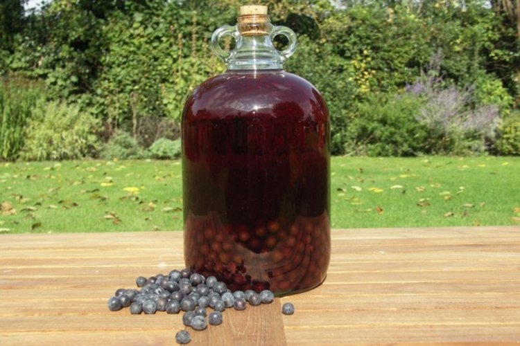 Вино из ягод и сока ирги