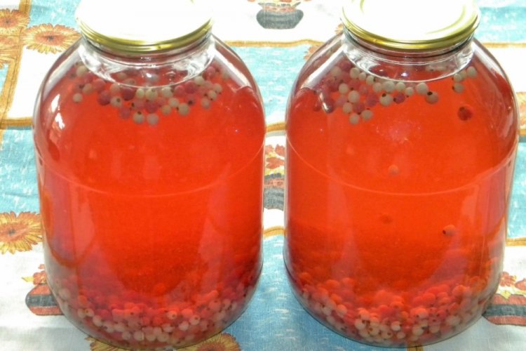 Компот из белой, красной и черной смородины