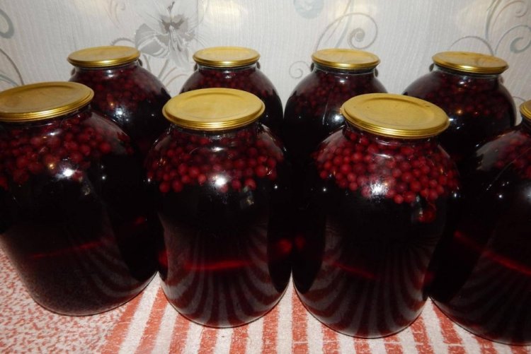 Компот из красной и черной смородины с ежевикой