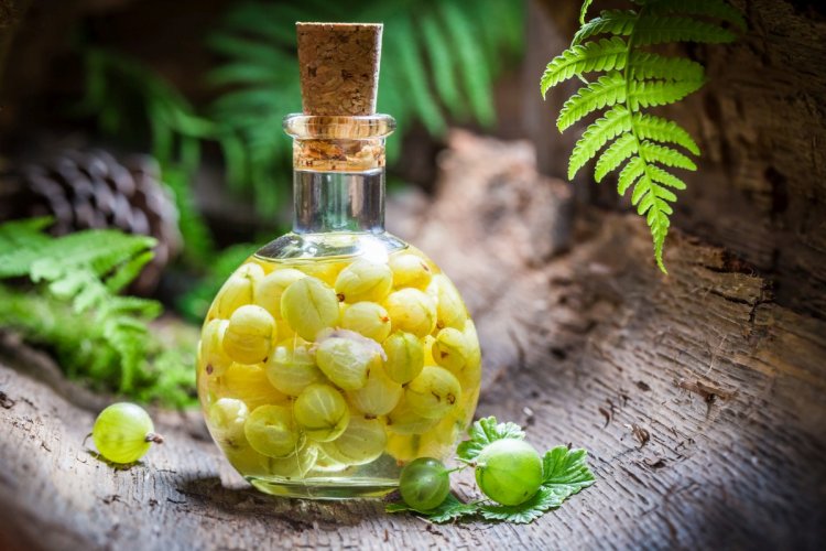 10 отличных рецептов наливки из крыжовника