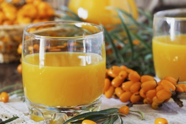 Морс из облепихи – классический рецепт