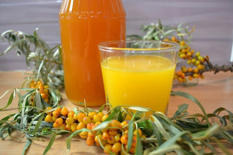 Морс из облепихи с имбирем