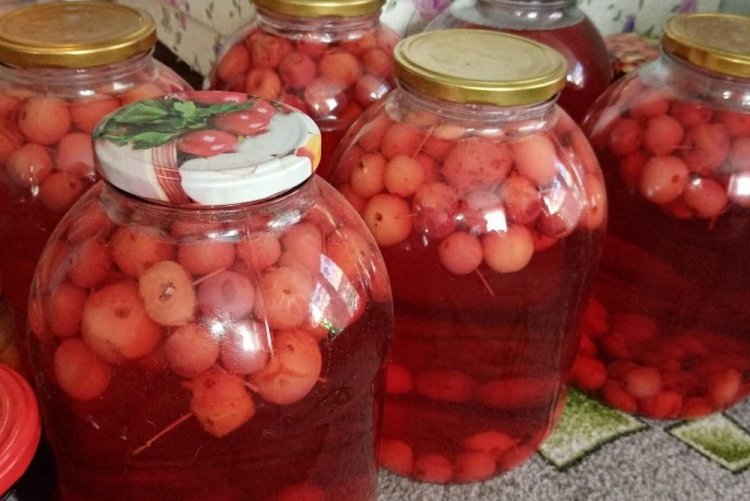 Компот из брусники и ранеток на зиму