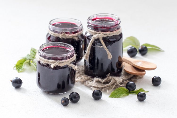 8 простых рецептов желе из черной смородины без варки