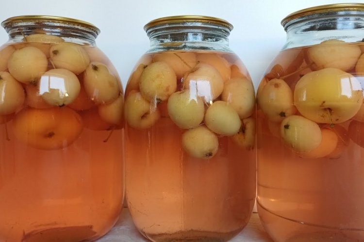 Компот из ранеток на зиму – классический рецепт