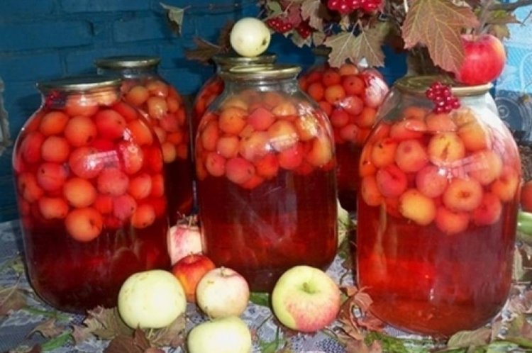 Компот из ранеток и черемухи